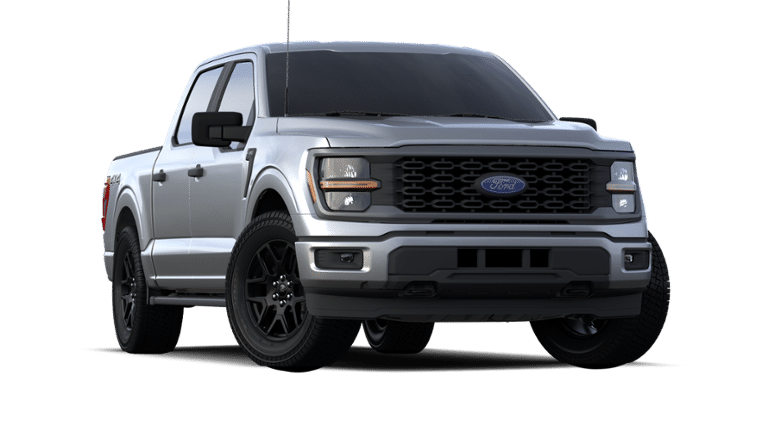 2024 Ford F-150 Vehicle Photo in Weatherford, TX 76087-8771